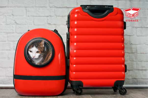 transporting_a_dog_a_cat_holidays