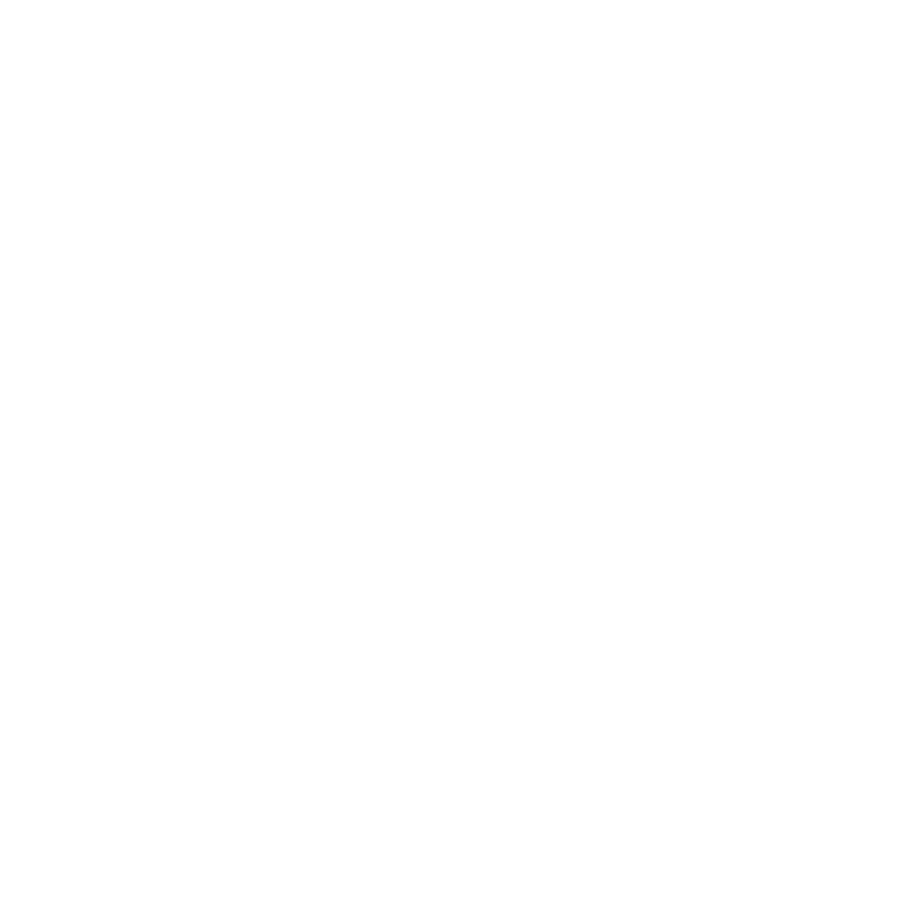 Direct car access to the unit