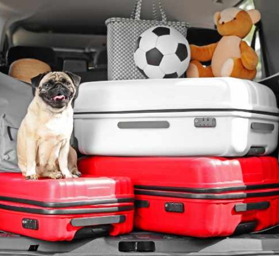 Less Mess Self Storage Poland storage rooms, containers and boxes