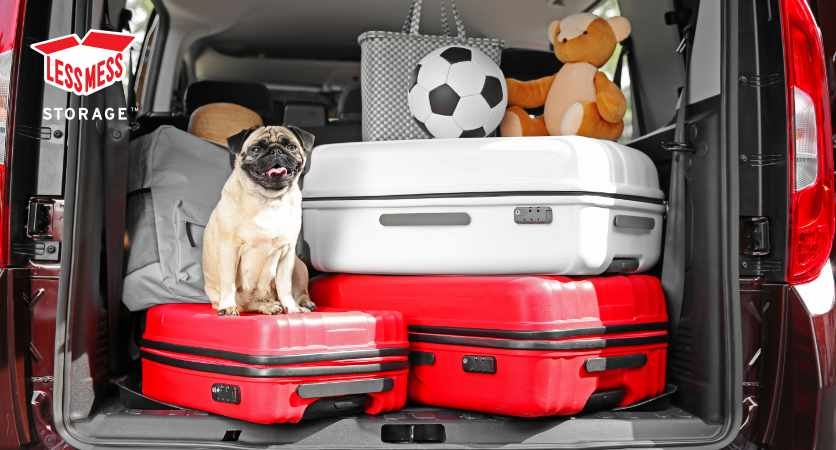How to transport animals? How to transport animals?